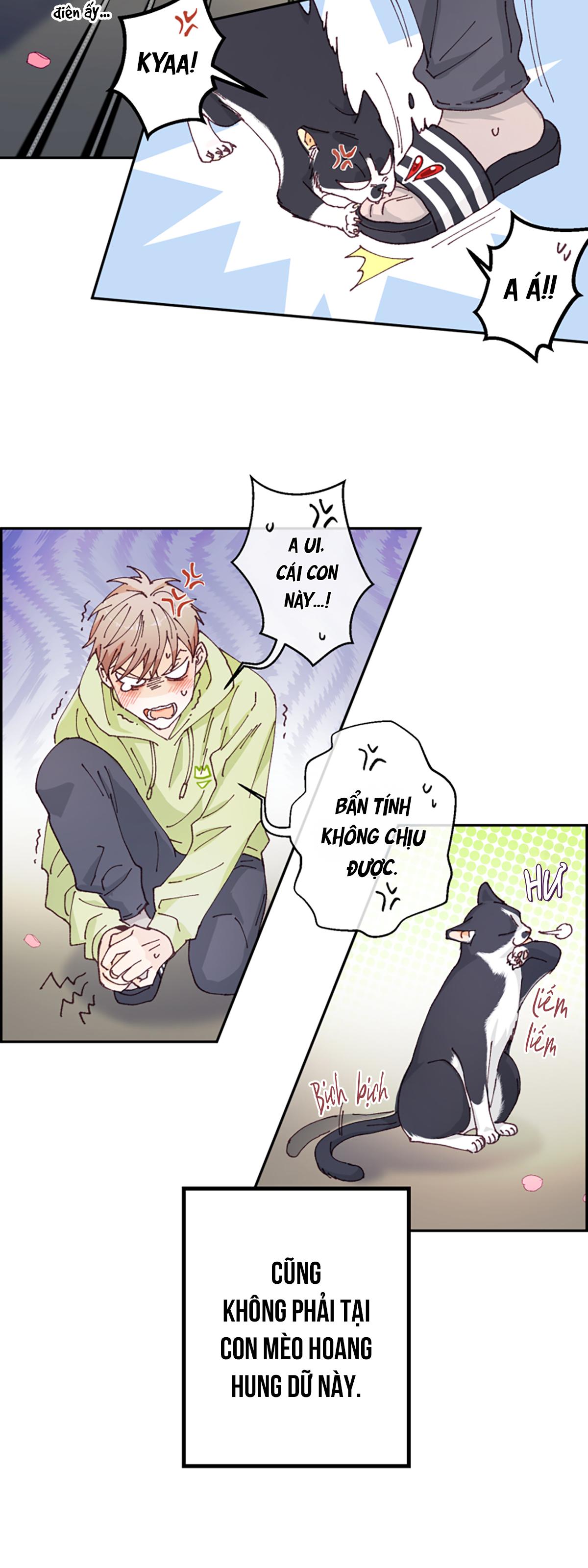 NGƯỜI HÀNG XÓM QUYẾN RŨ CỦA TÔI Chapter 1 - Next Chapter 2