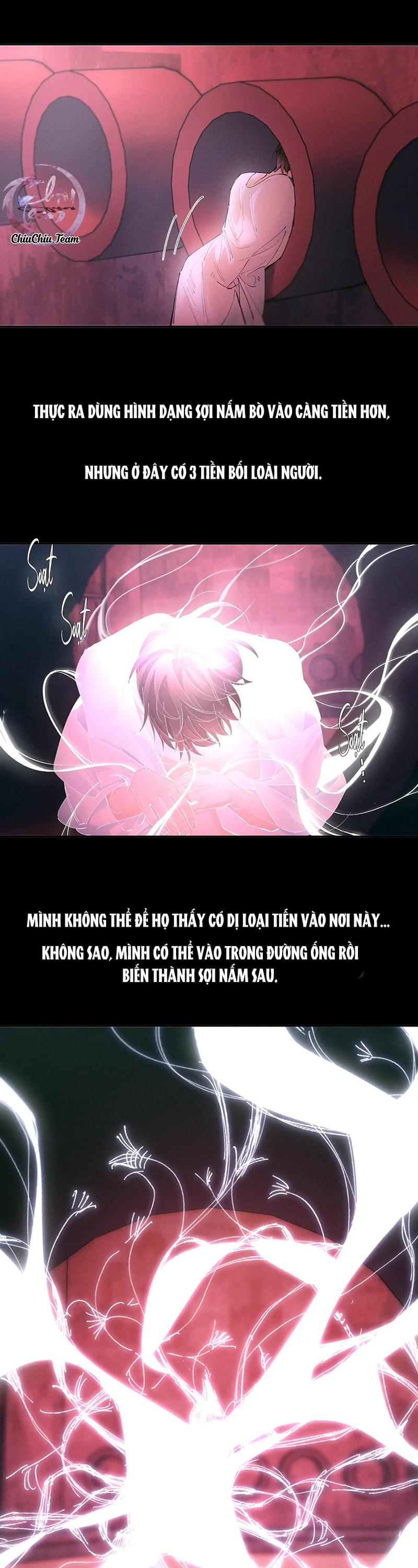 Cây Nấm Nhỏ Chapter 65 - Next 
