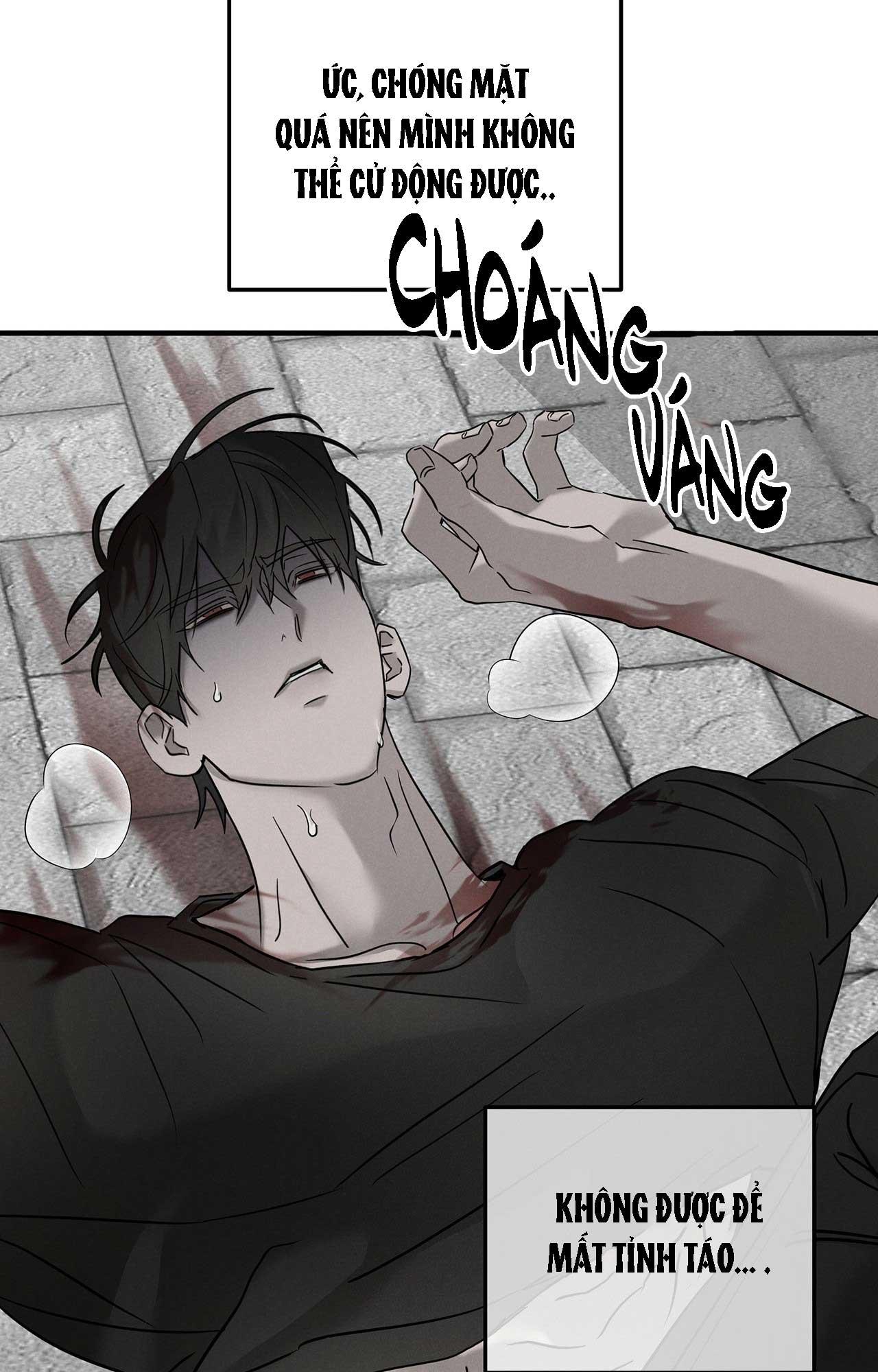 FIETA Chapter 23 - Next 