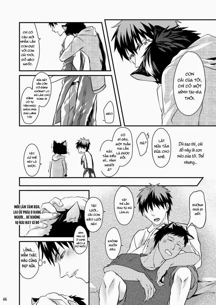 Oneshot hỏny Chapter 423 - Next Chapter 424