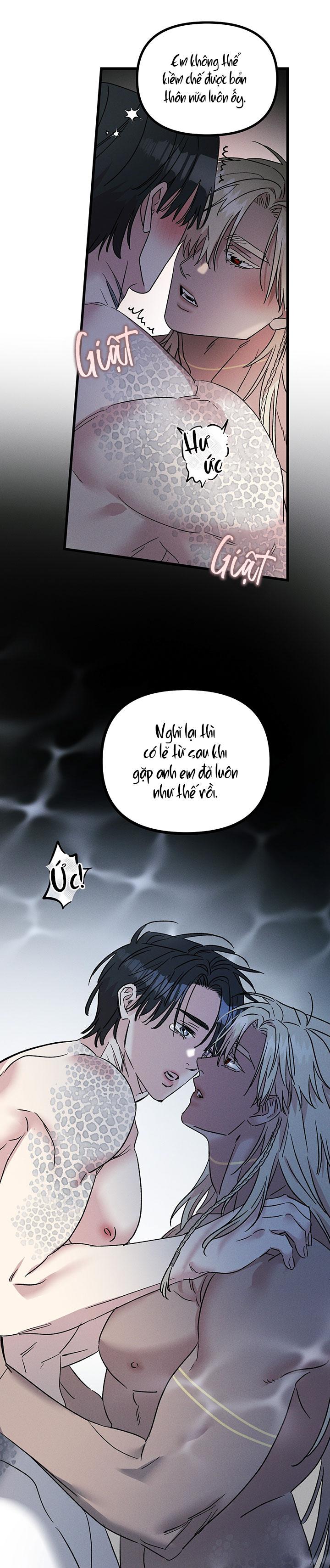Mermaid's Cradle Chapter 12 - Next 