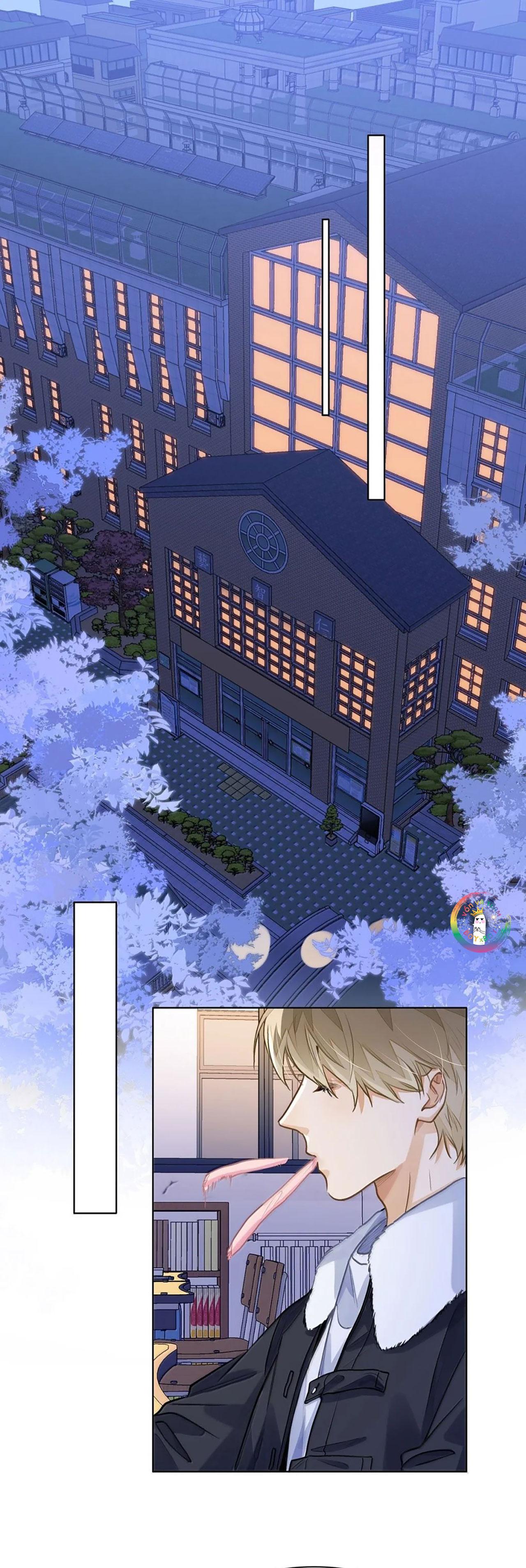 Tôi Thích Pheromone Của Cậu Chapter 85 - Next 