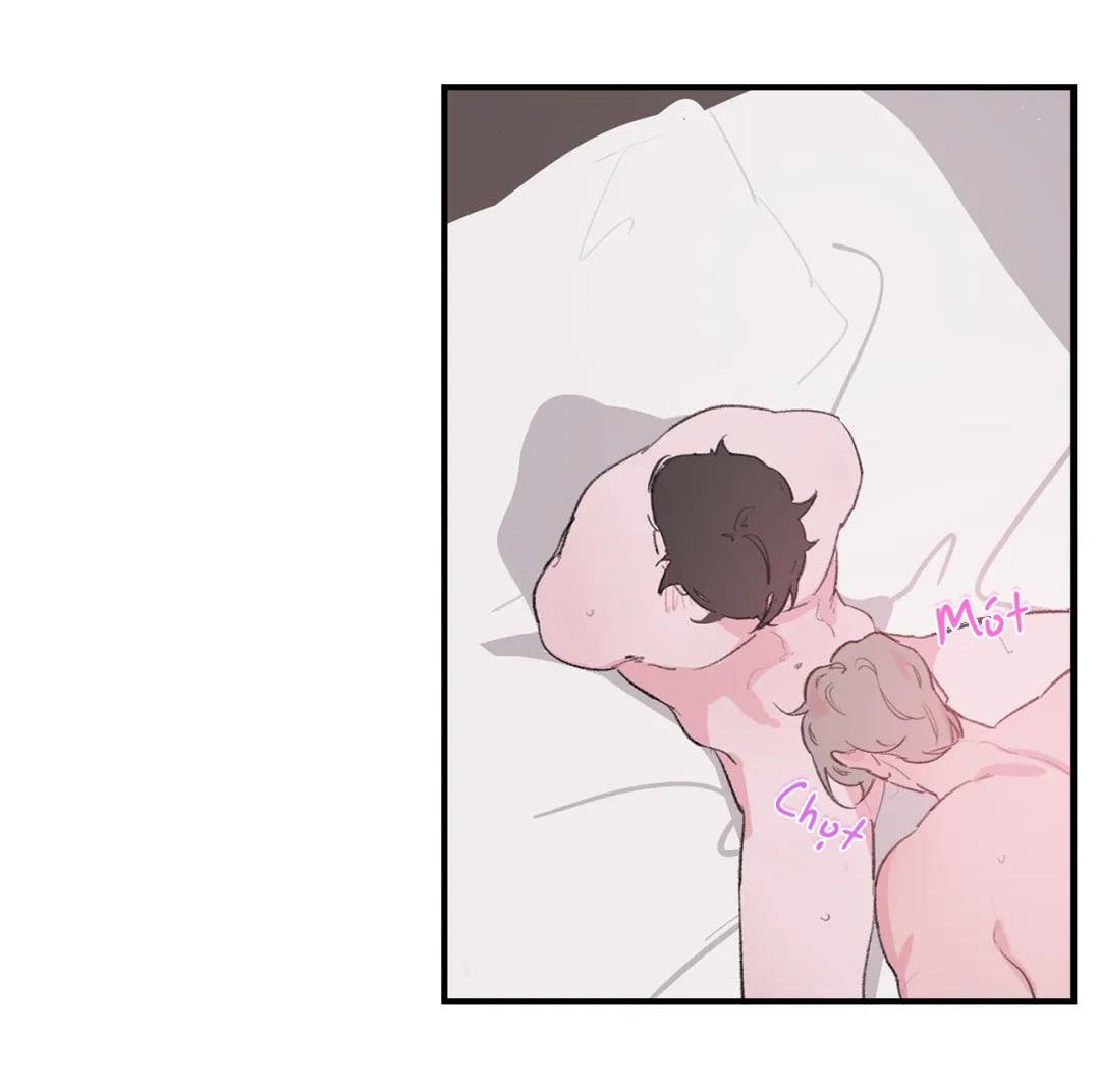 Vùng Đỏ Chapter 68 - PN8 - Next Chapter 69 - PN9