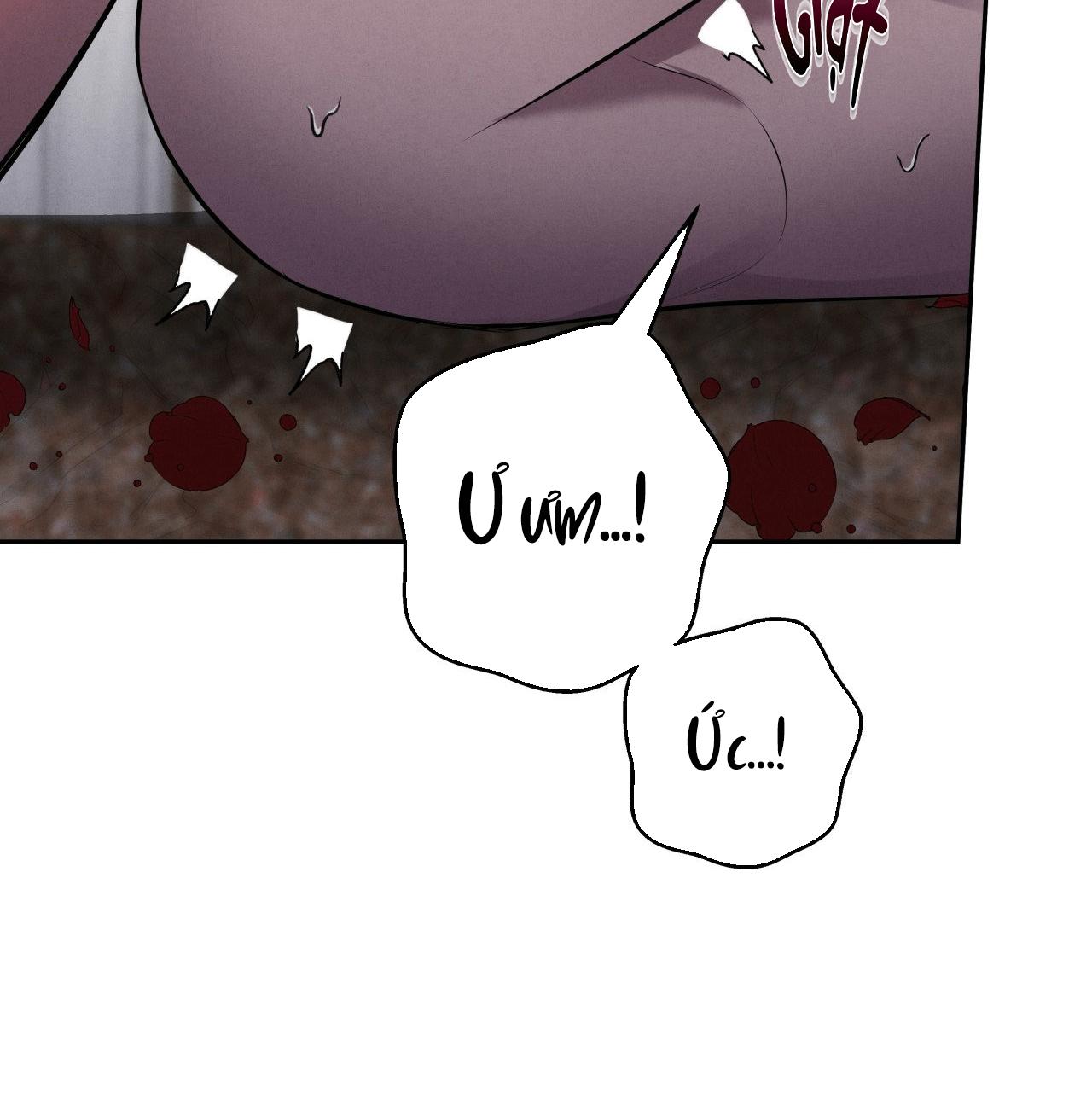 ĐÁM CƯỚI TAI TIẾNG Chapter 41 - Next 