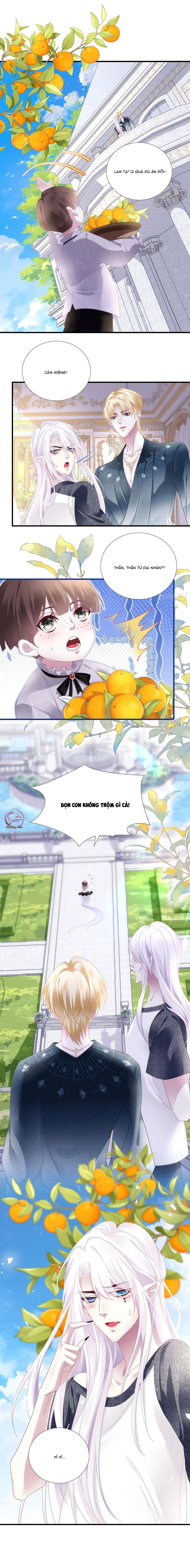 Thánh Tâm không dễ chọc Chapter 86 - Next 