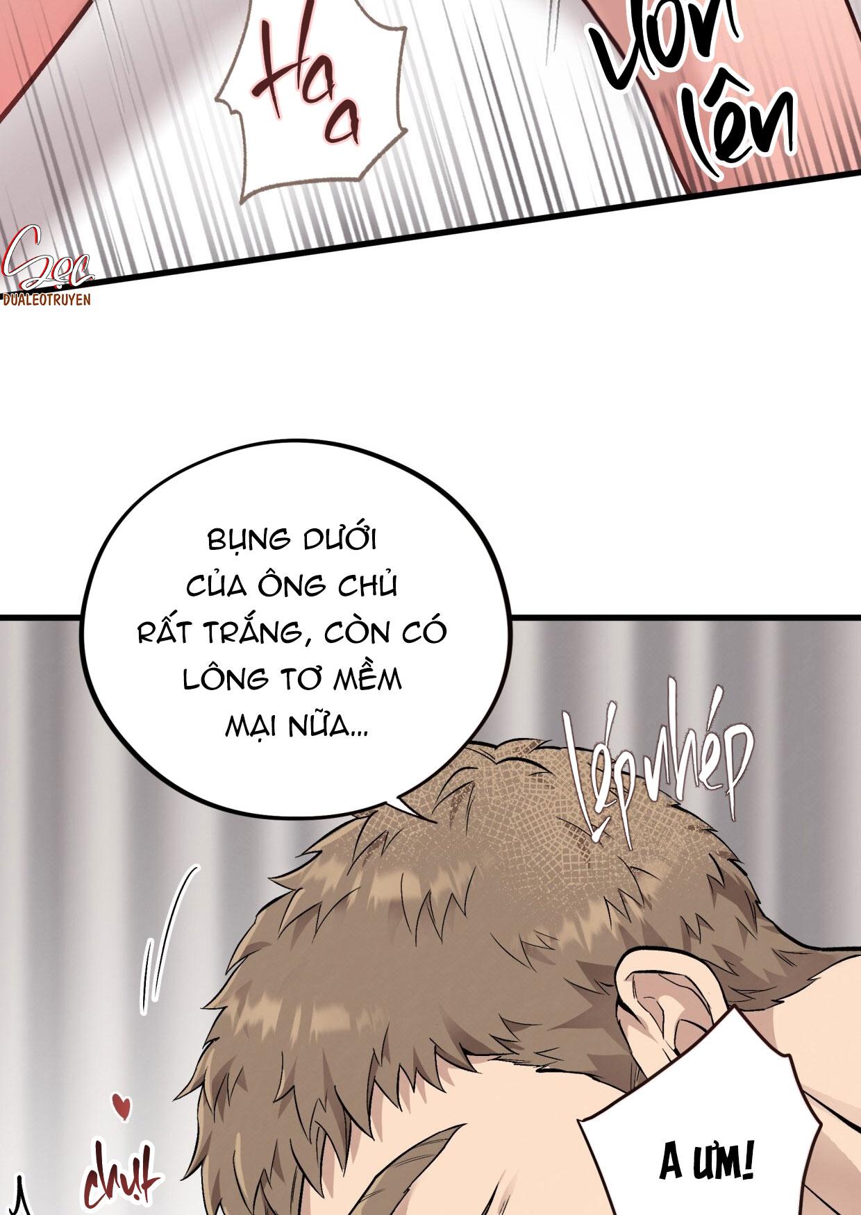 HONEY BEAR Chapter 73 - Next Chapter 74