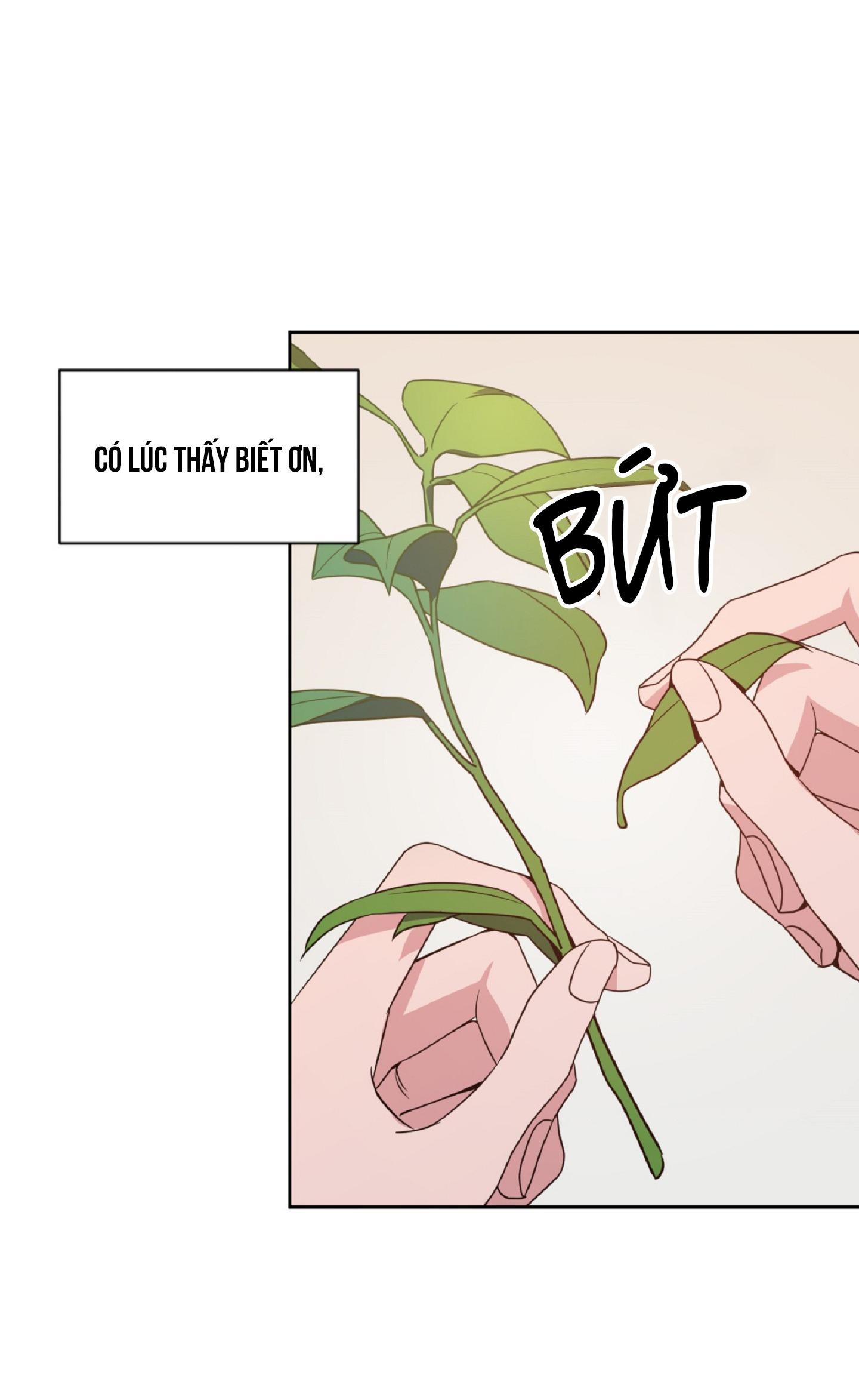 Angel kiss Chapter 26 - Next Chapter 27