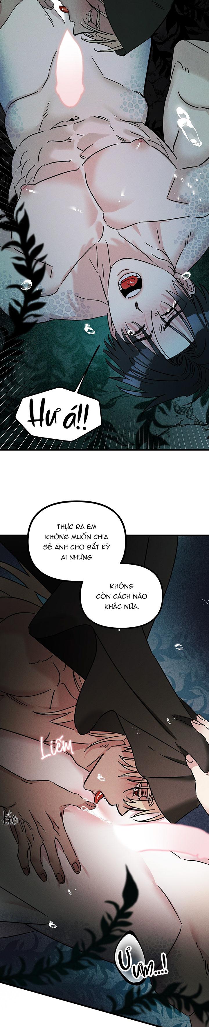 Mermaid's Cradle Chapter 4 - Next 