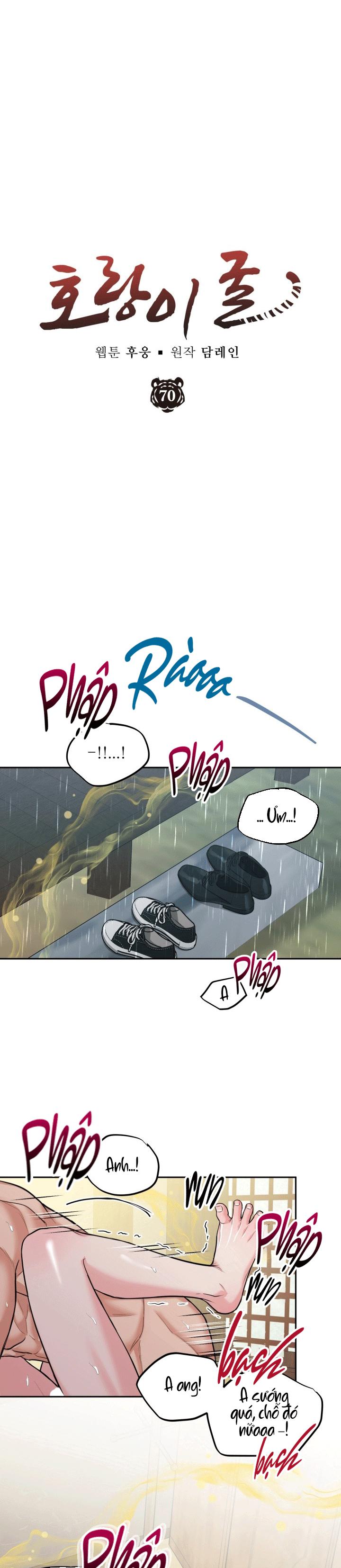 (ABO) HANG HỔ Chapter 70 - Next 