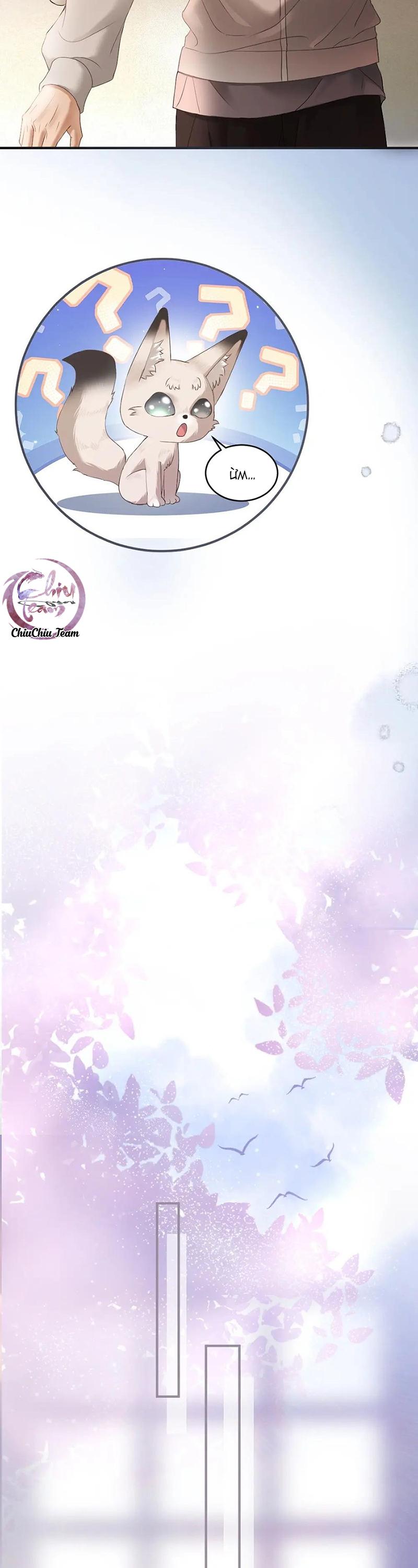 Tiểu thiếu gia dựa vào nhan sắc càn quét toàn hệ thống Chapter 75 - Next 