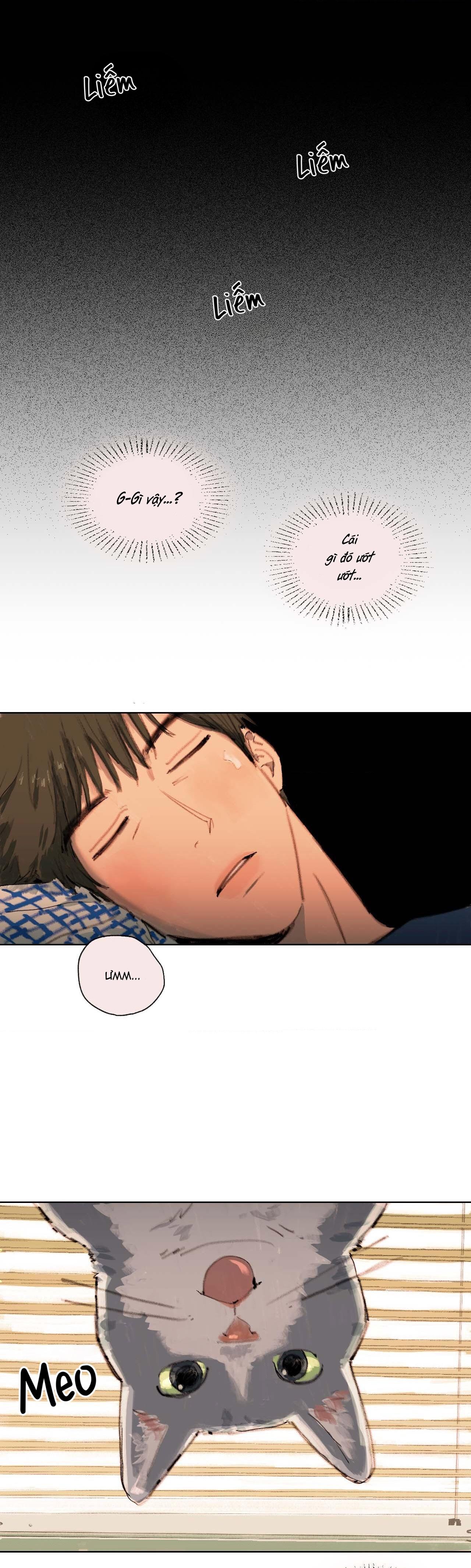 Hạ Đầu Mùa Chapter 4 - Next 