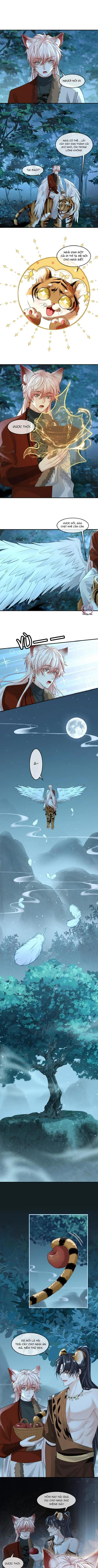 Khát Vọng Ngọt Ngào Chapter 433 - Next Chapter 434