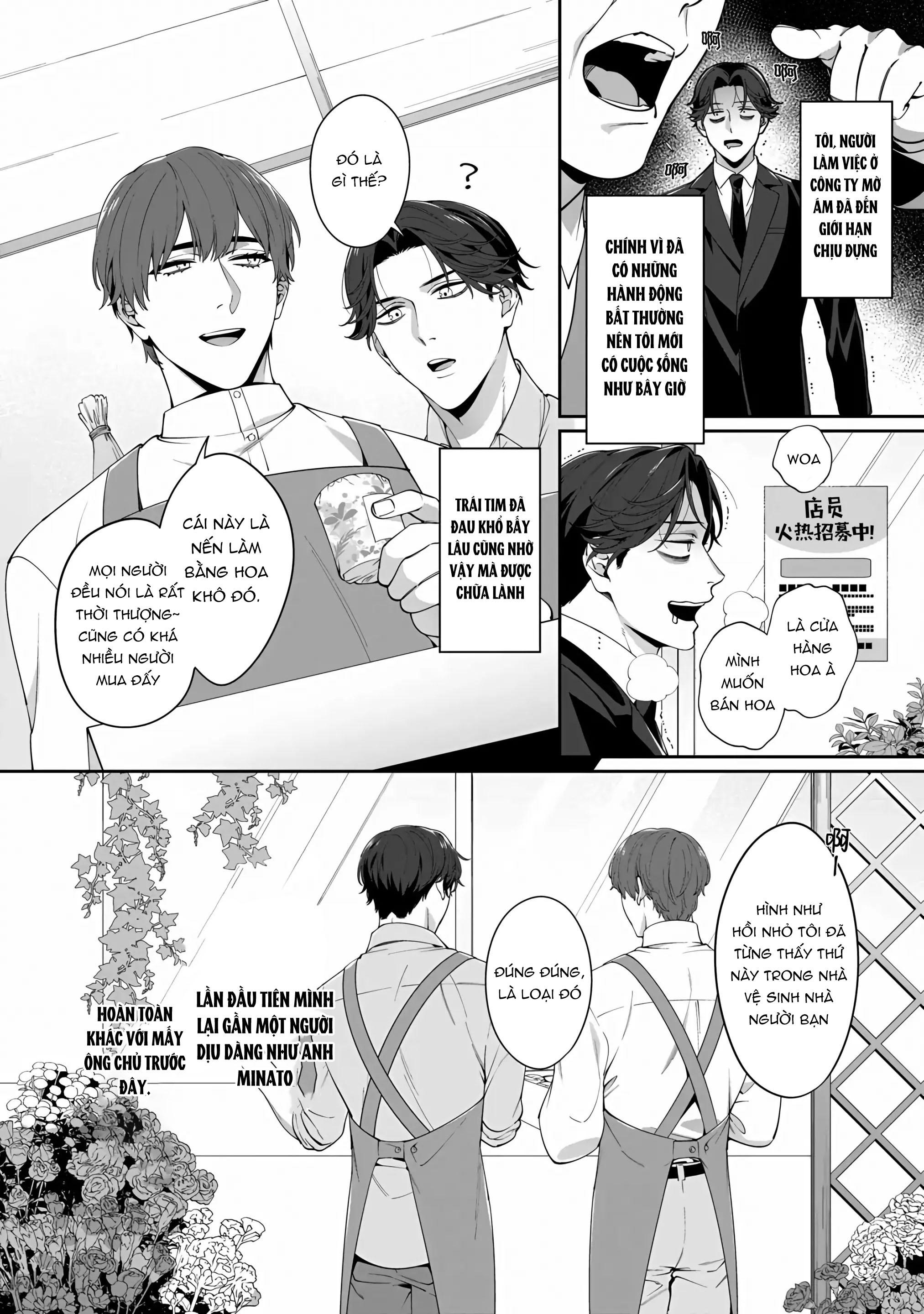ONESHOT COI LÀ NỨNG Chapter 354 - Trang 2