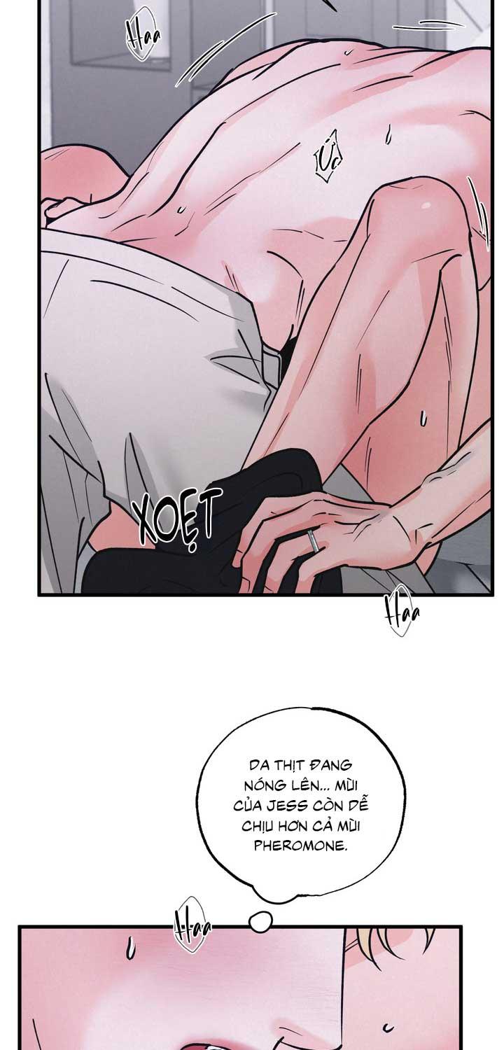 CẶP ĐÔI HOÀN HẢO Chapter 51 - Next 