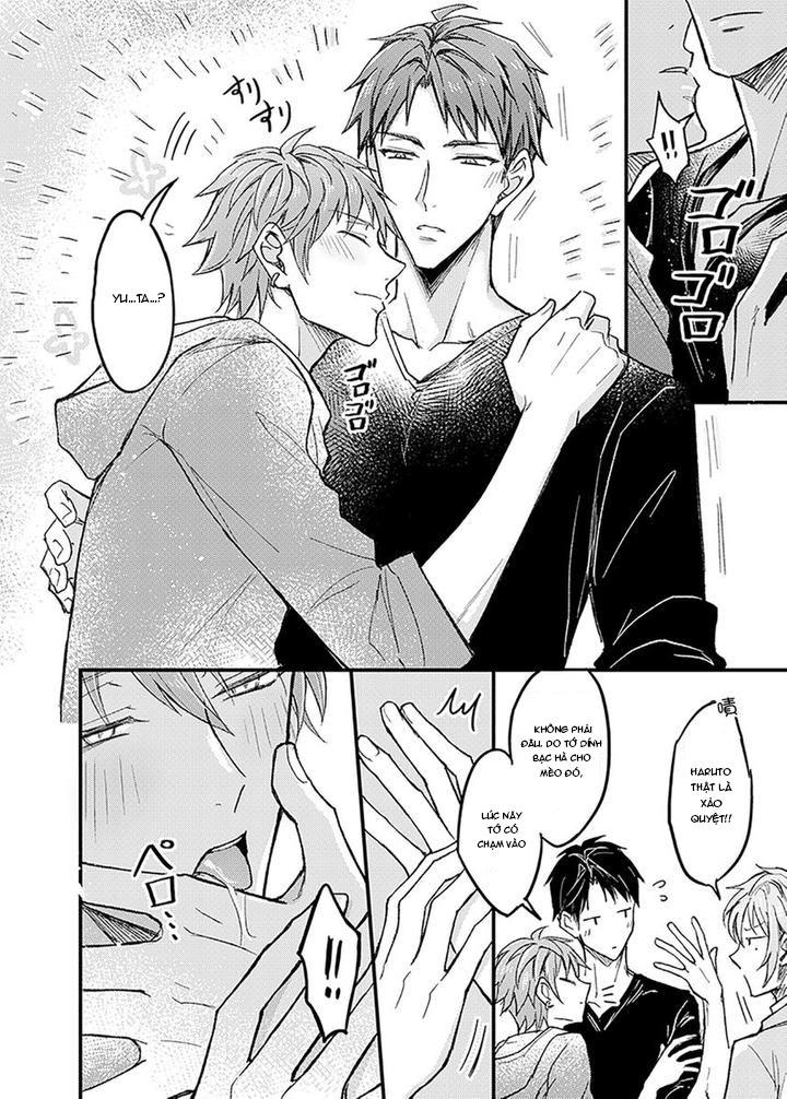 Tổng hợp oneshot Chapter 239.1 3P - Next Chapter 239.3