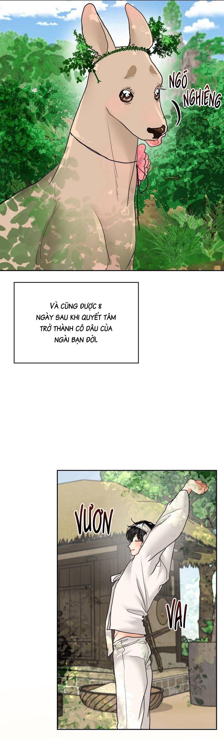 ( CBunu ) Omega Của Anh Chapter 17 Ngoại truyện 3 - Next 