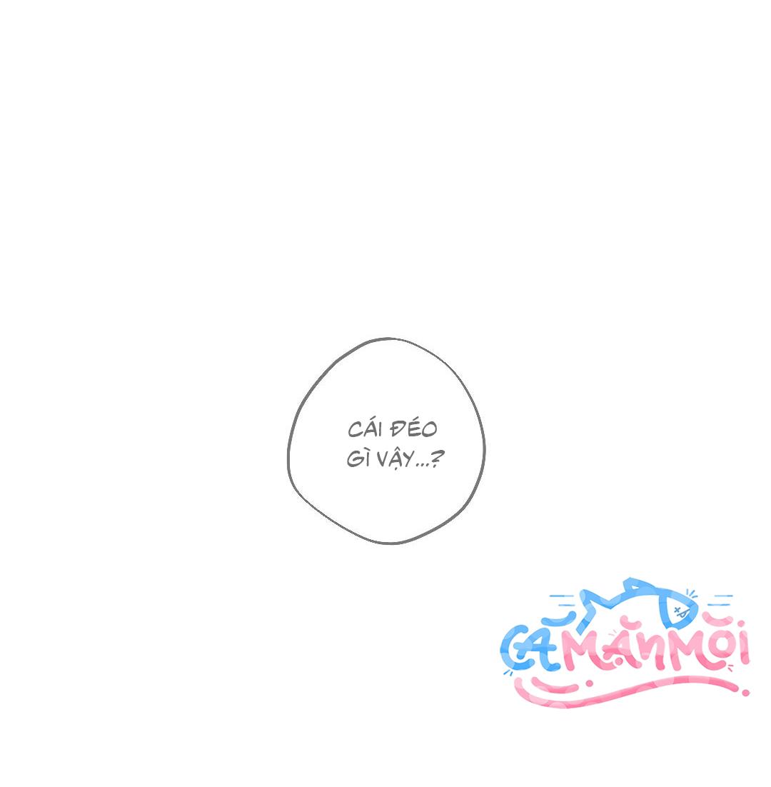 Bình An Của Chúa Chapter 1 - Trang 2