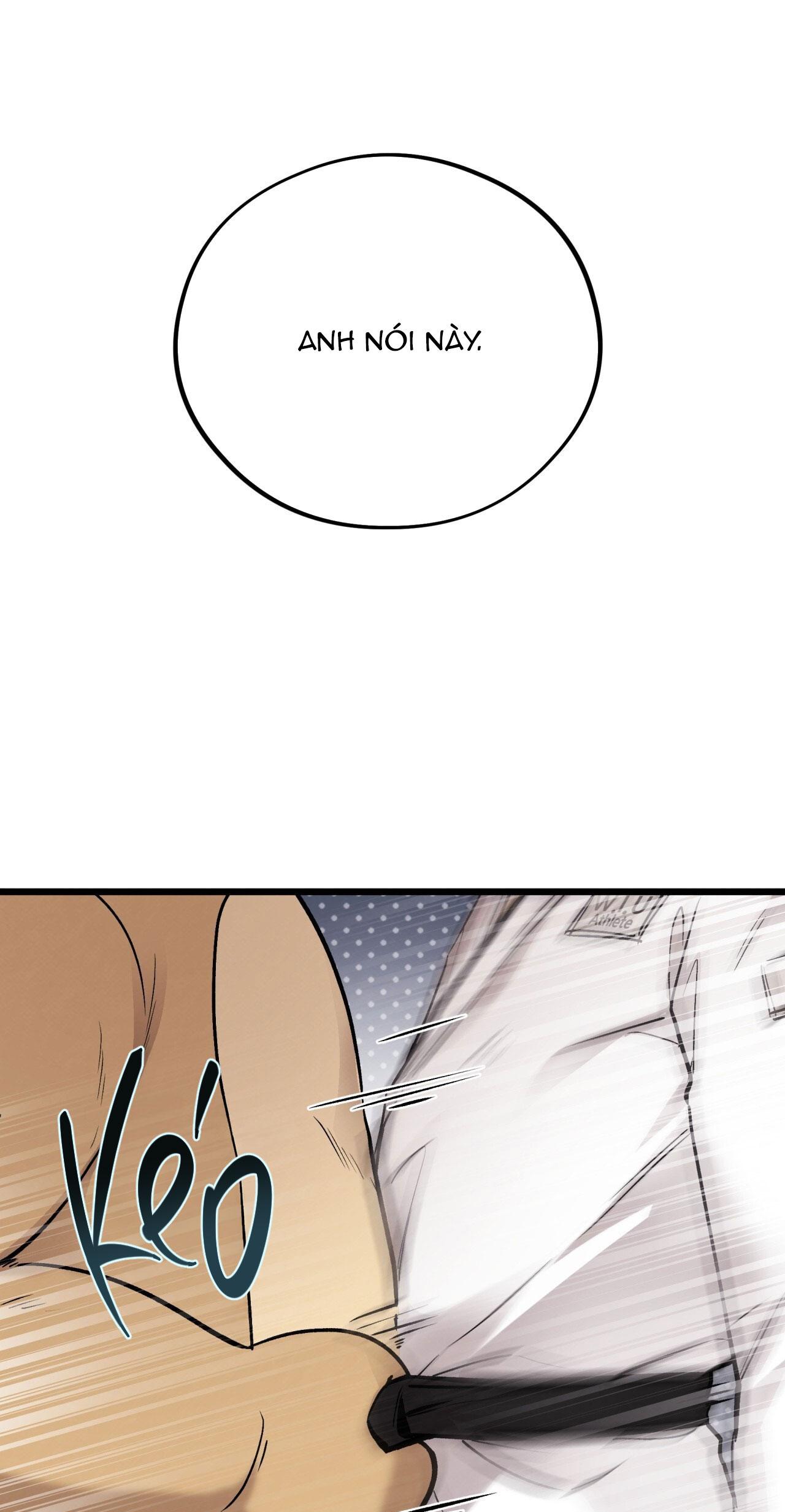 HONEY BEAR Chapter 65 - Next 
