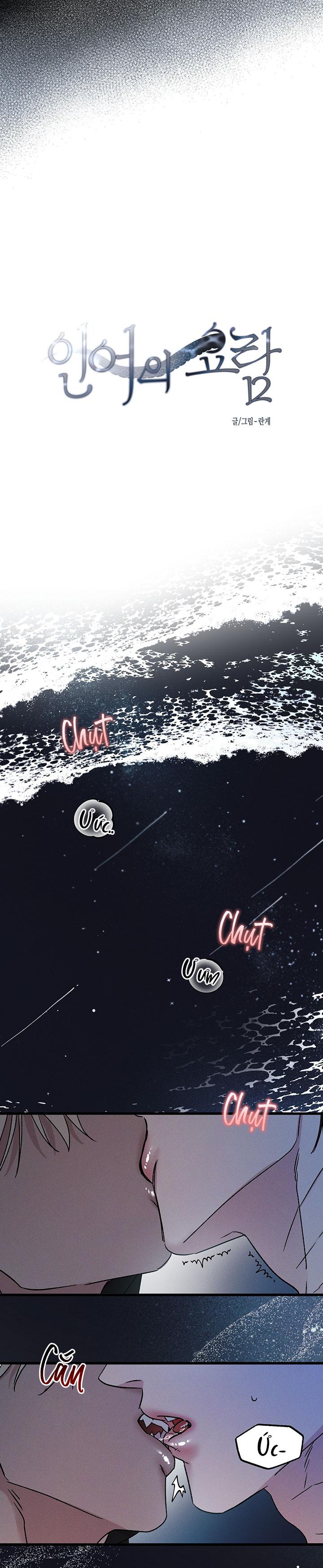 Mermaid's Cradle Chapter 5 - Next 