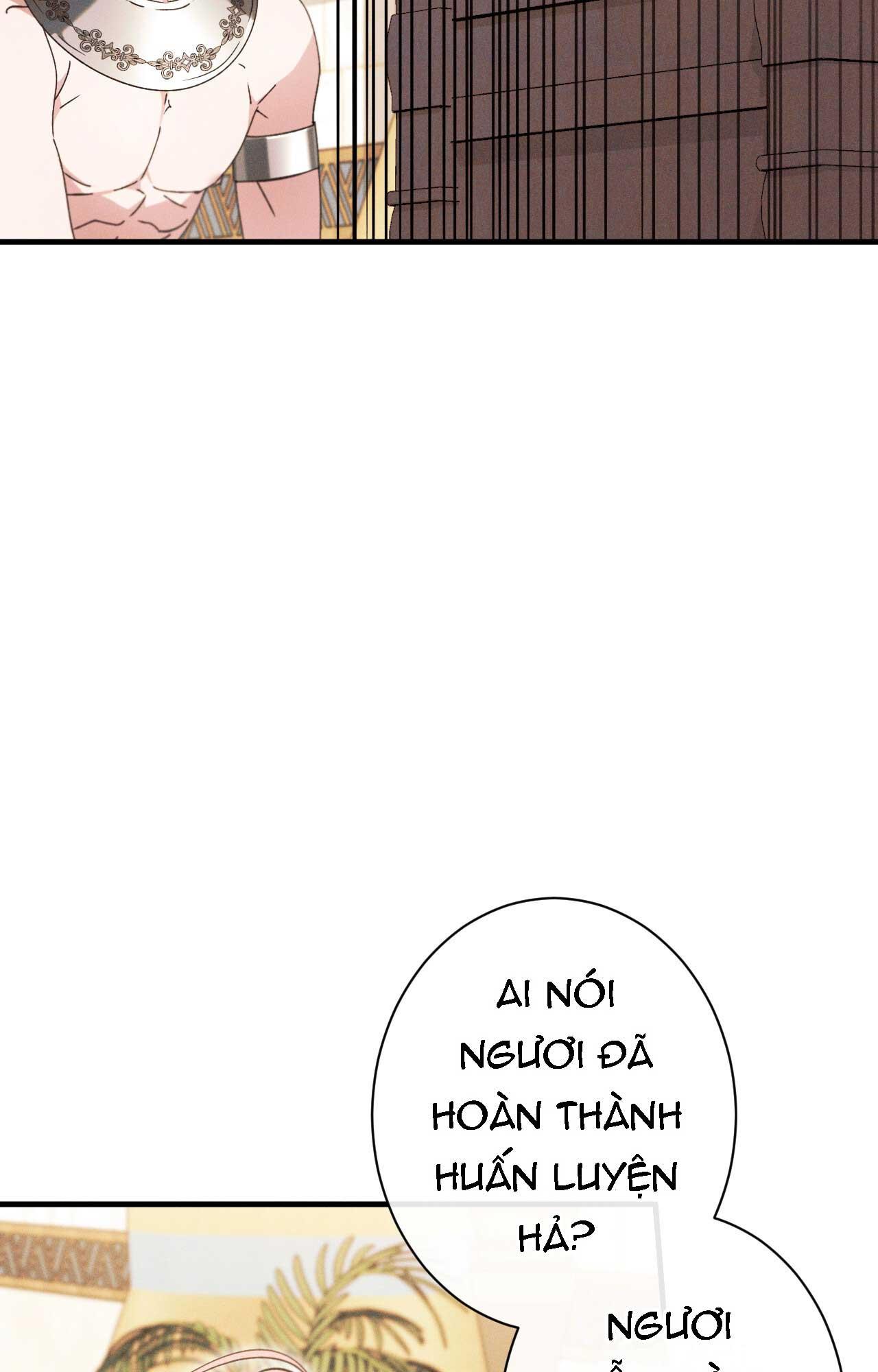 RẮN NUỐT LỰU Chapter 17 - Next 