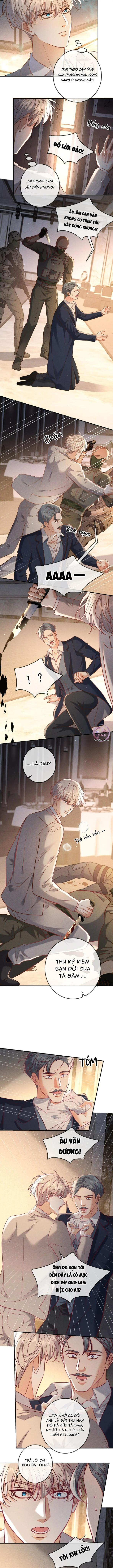 Cạn Tình Chapter 71 - Next Chapter 72