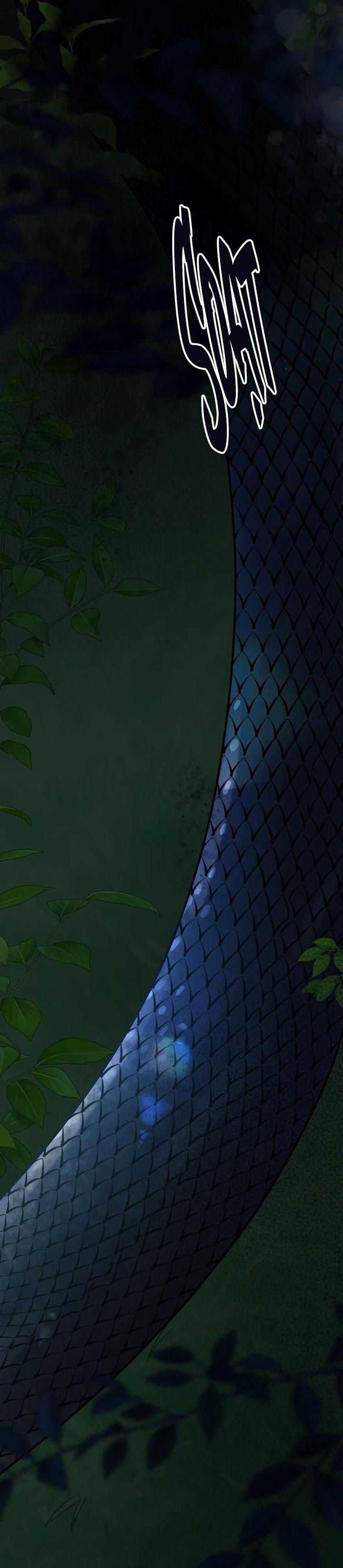 HANG RẮN Chapter 3 - Trang 2