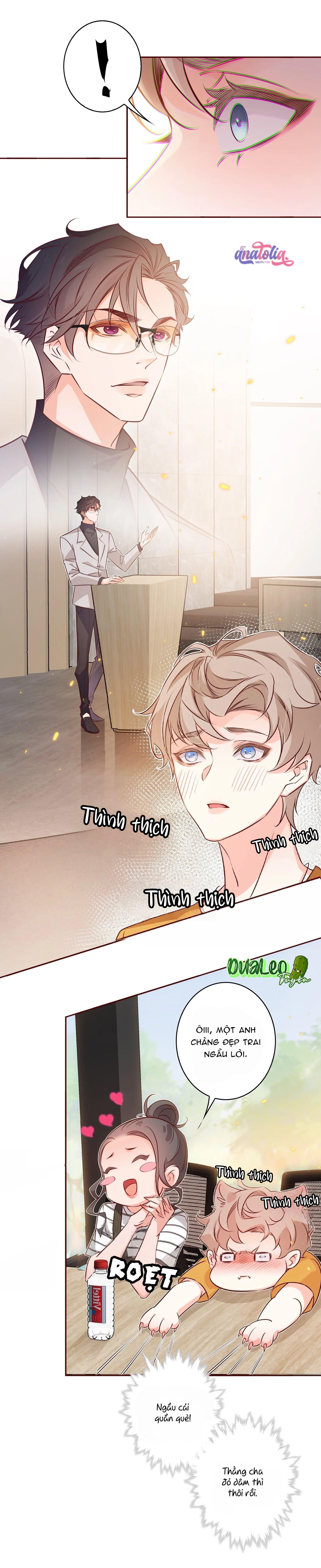 Yêu Em Bất Chấp Chapter 9 - Next 