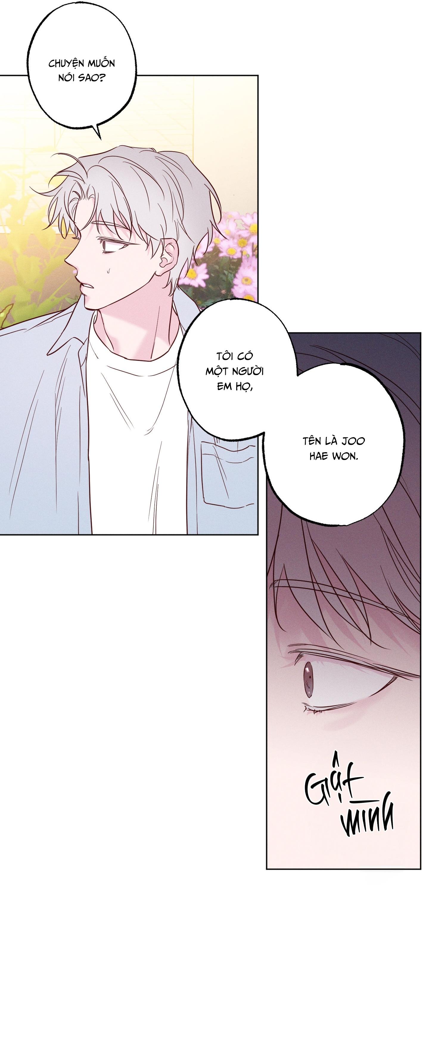 BỜ SÓNG VỖ Chapter 41 - Next 