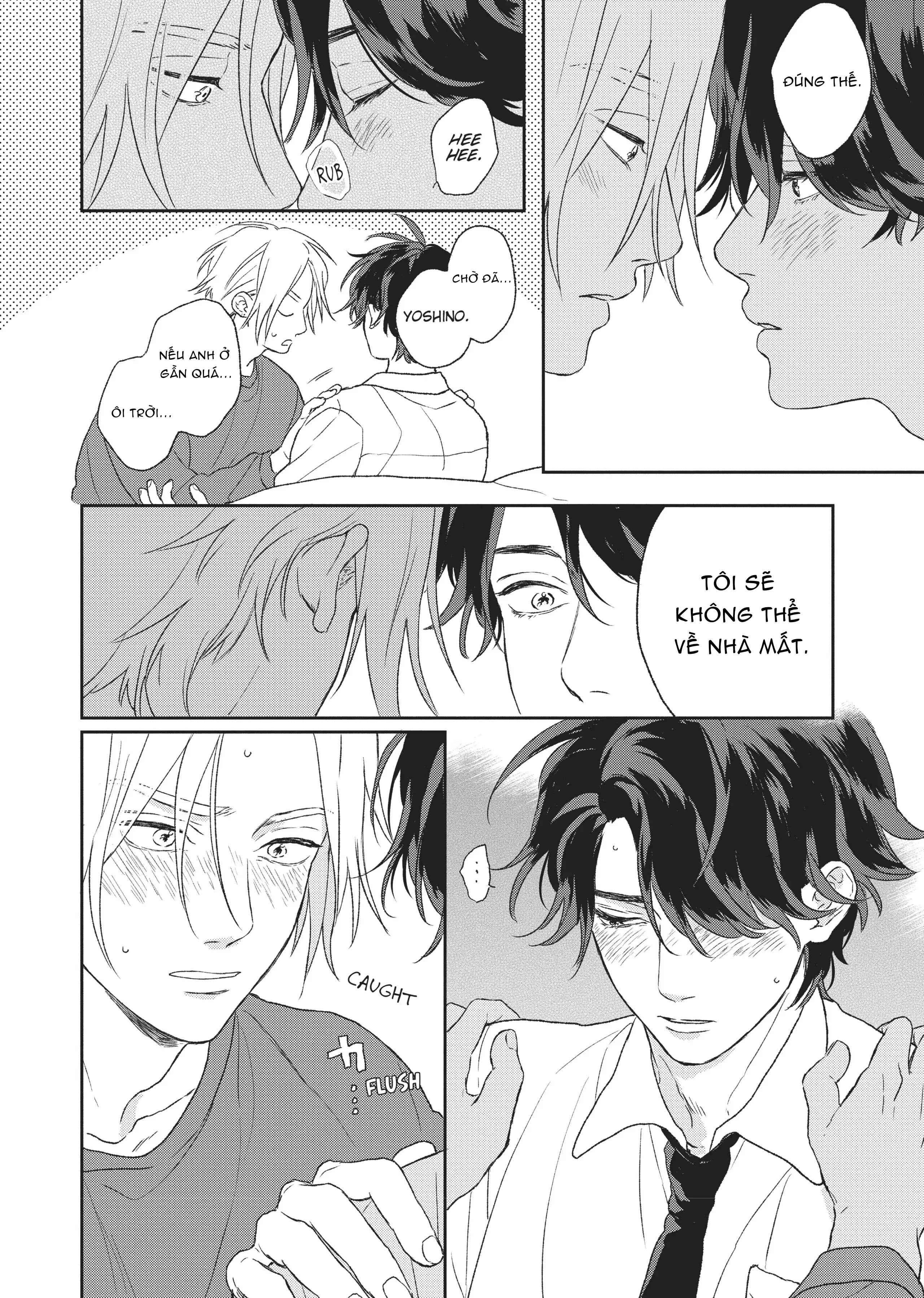 Tôi Đâu Định Yêu Cậu Chapter 5 H - Next 