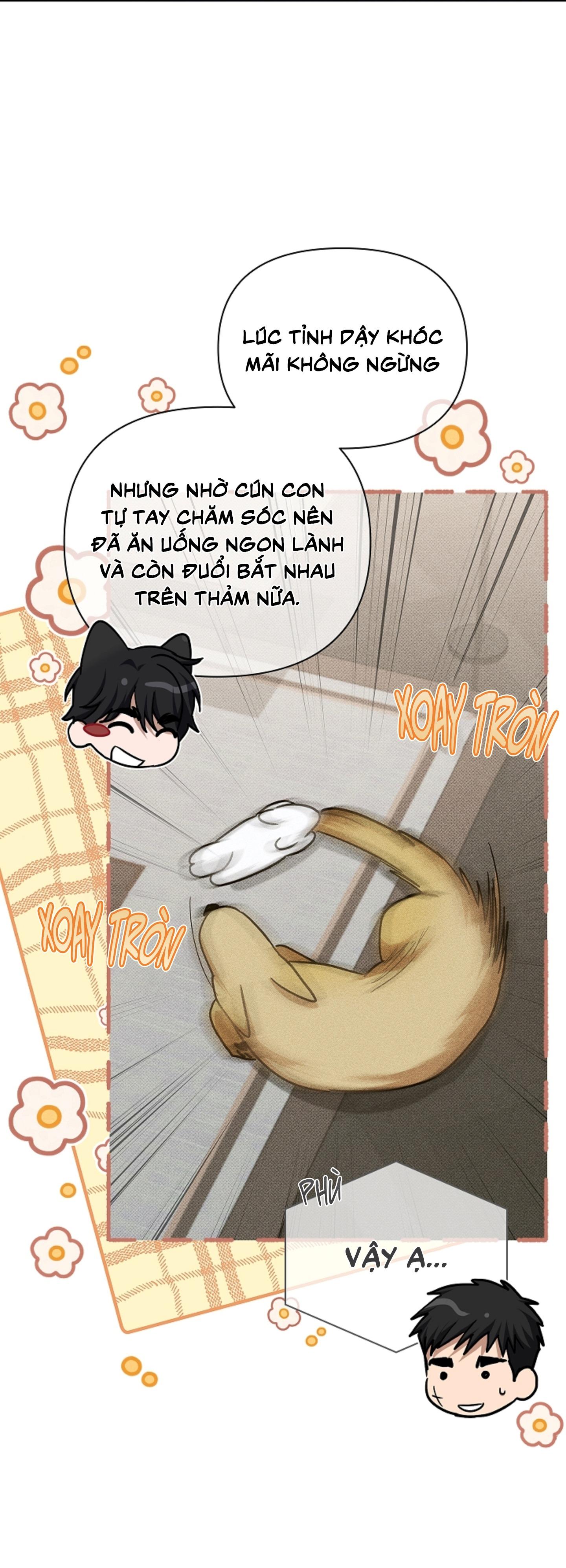 ĐỪNG ĐỘNG VÀO CÚN CON! Chapter 44.05 - Next 