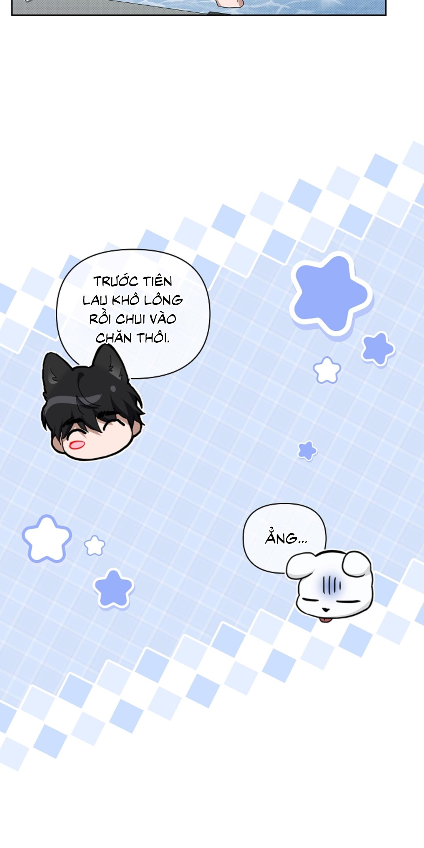 ĐỪNG ĐỘNG VÀO CÚN CON! Chapter 44 - Next 