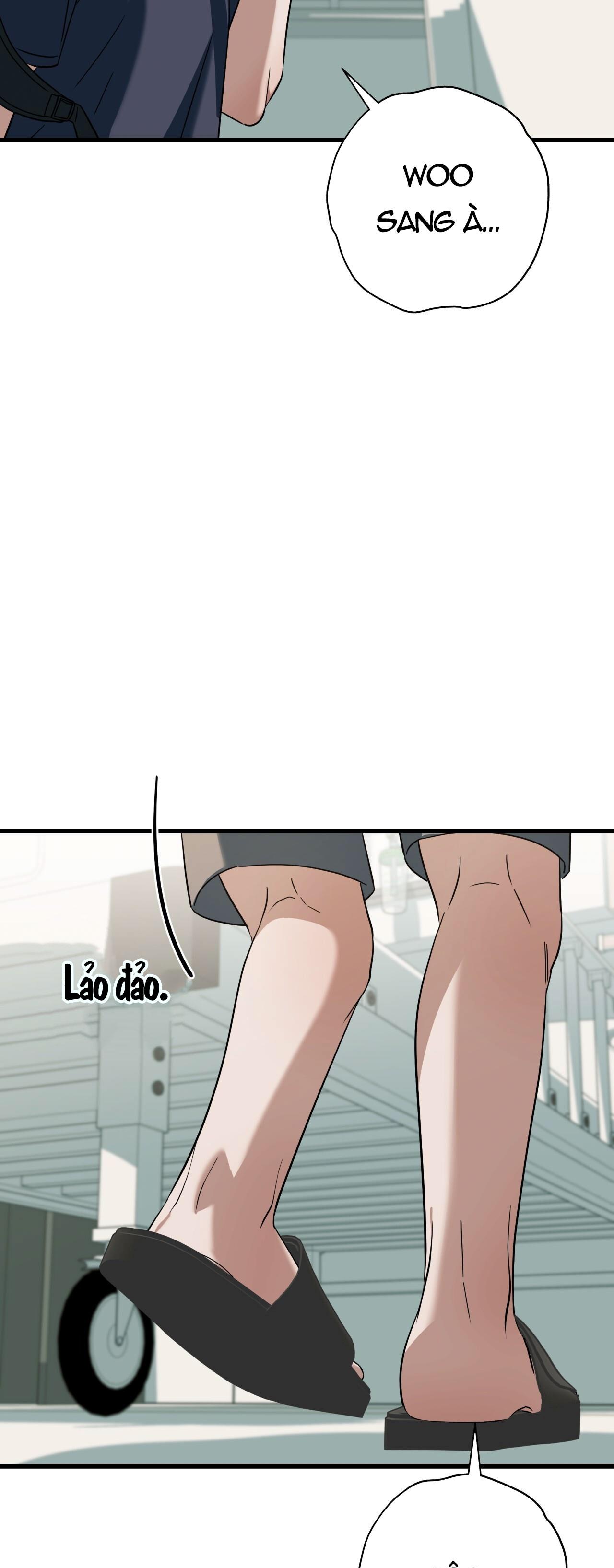 HỢP ĐỒNG KẸO NGỌT Chapter 39 - Next 