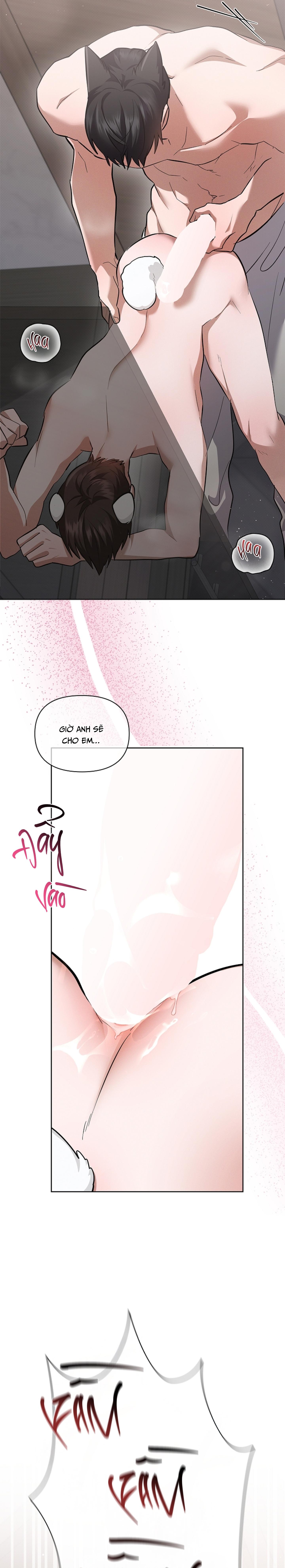 ĐỪNG CHẠM VÀO CÚN CON CỦA TÔI Chapter 48 NT4 - Next 
