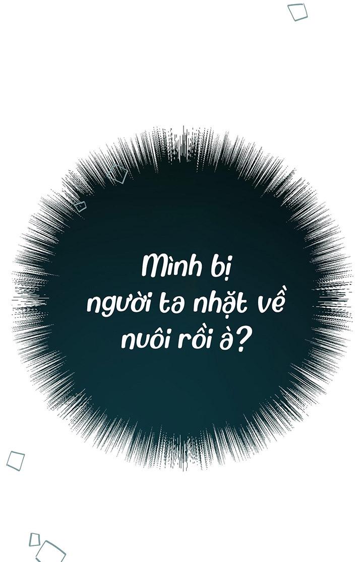 [DDT] HÃY SINH NHẤT MIÊU HÀI WILDCAT, NHƯ BẤT DỤC KIẾN NGÃ PHÁT CUỒNG! Chapter 1 19+ - Trang 2