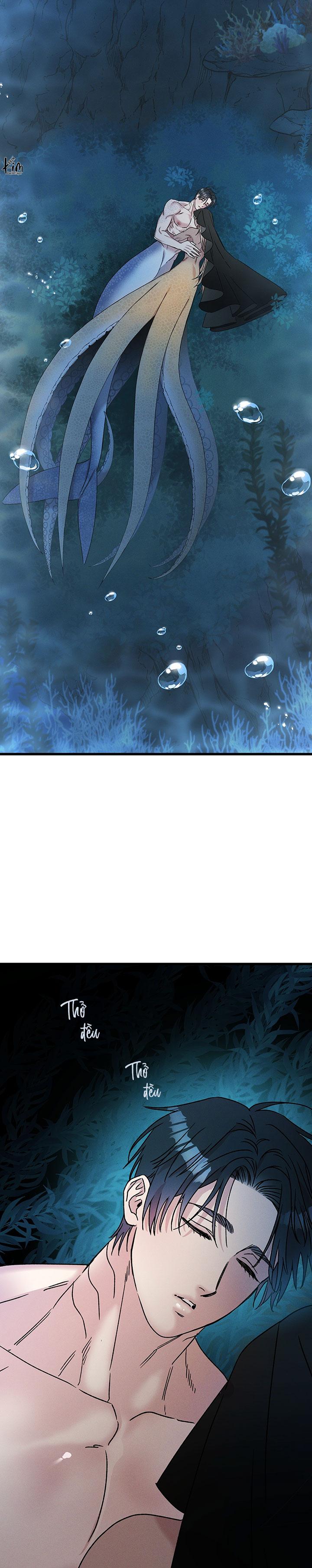 Mermaid's Cradle Chapter 2 - Next 