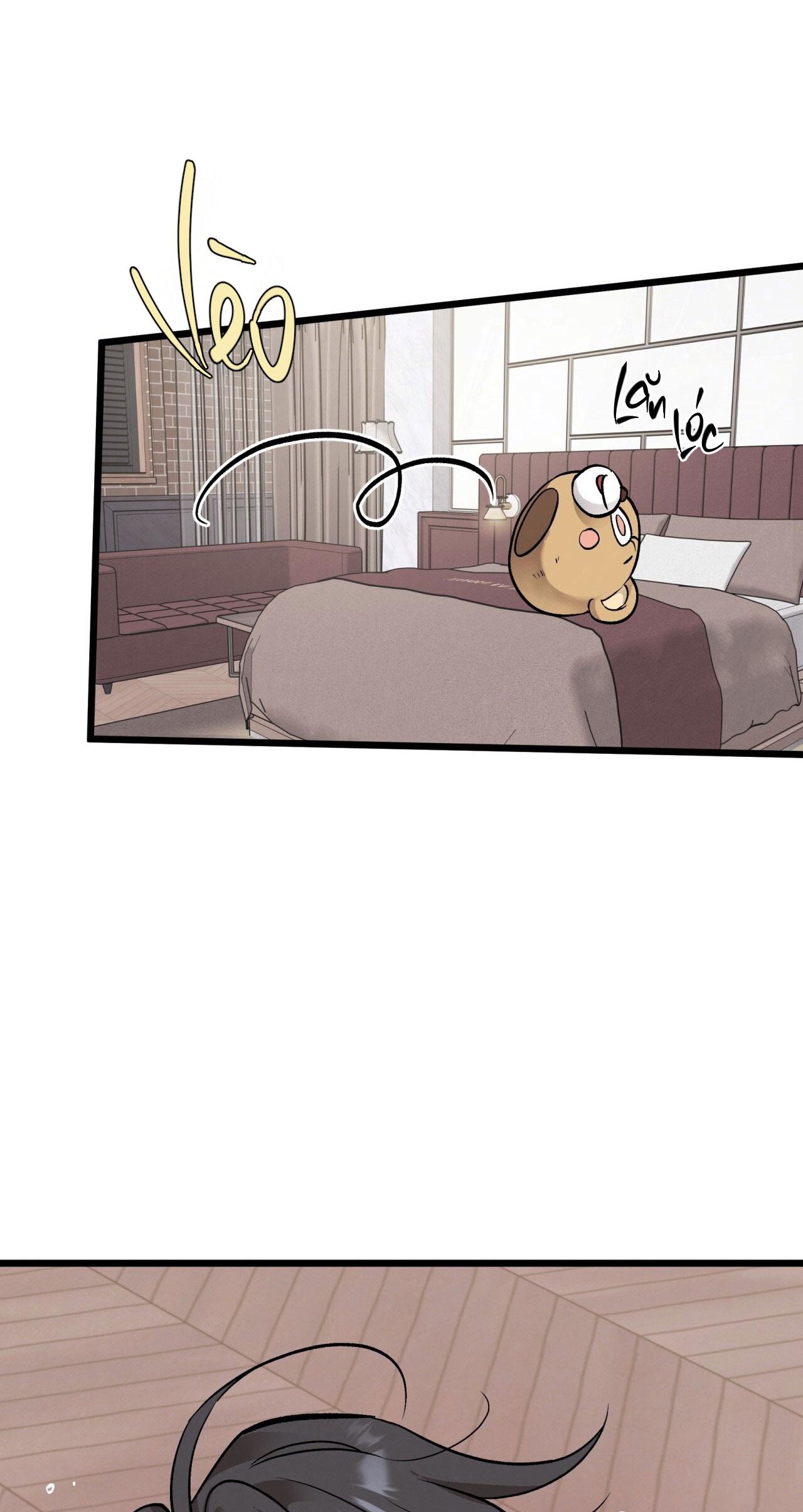 HONEY BEAR Chapter 65 - Next 