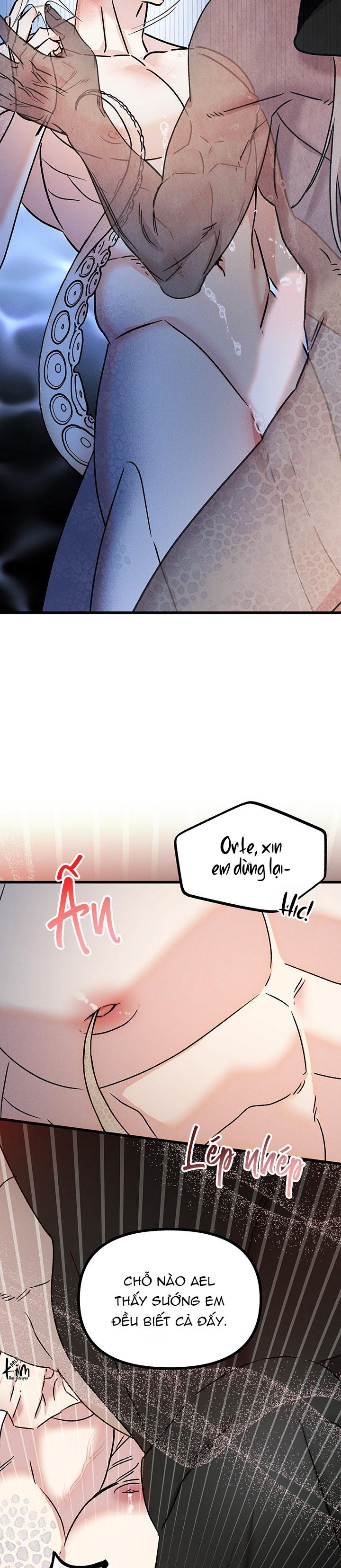 Mermaid's Cradle Chapter 3 - Trang 2