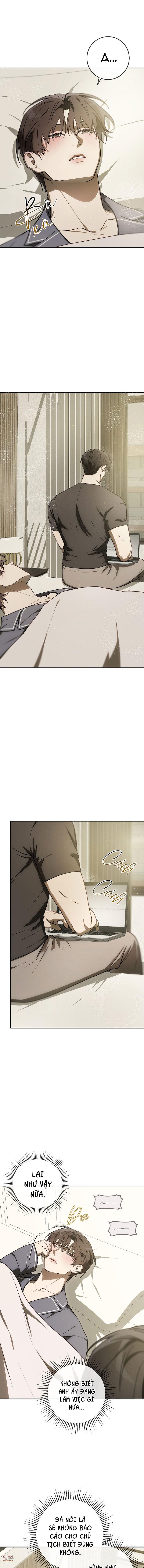 BẢO VẬT Chapter 31 - Next Chapter 32