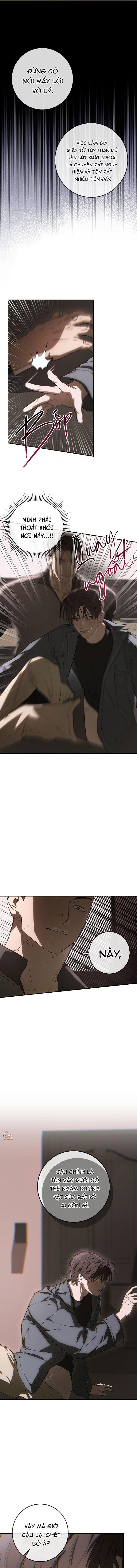 BẢO VẬT Chapter 38 - Trang 2