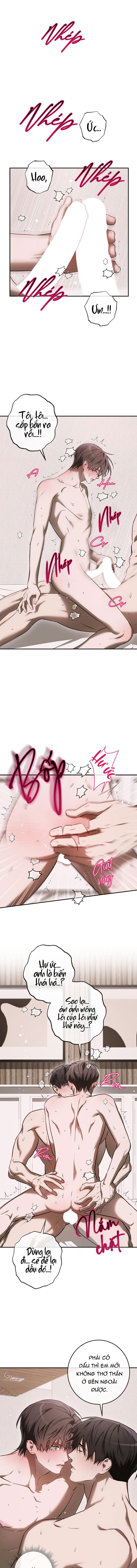 BẢO VẬT Chapter 40 - Trang 2