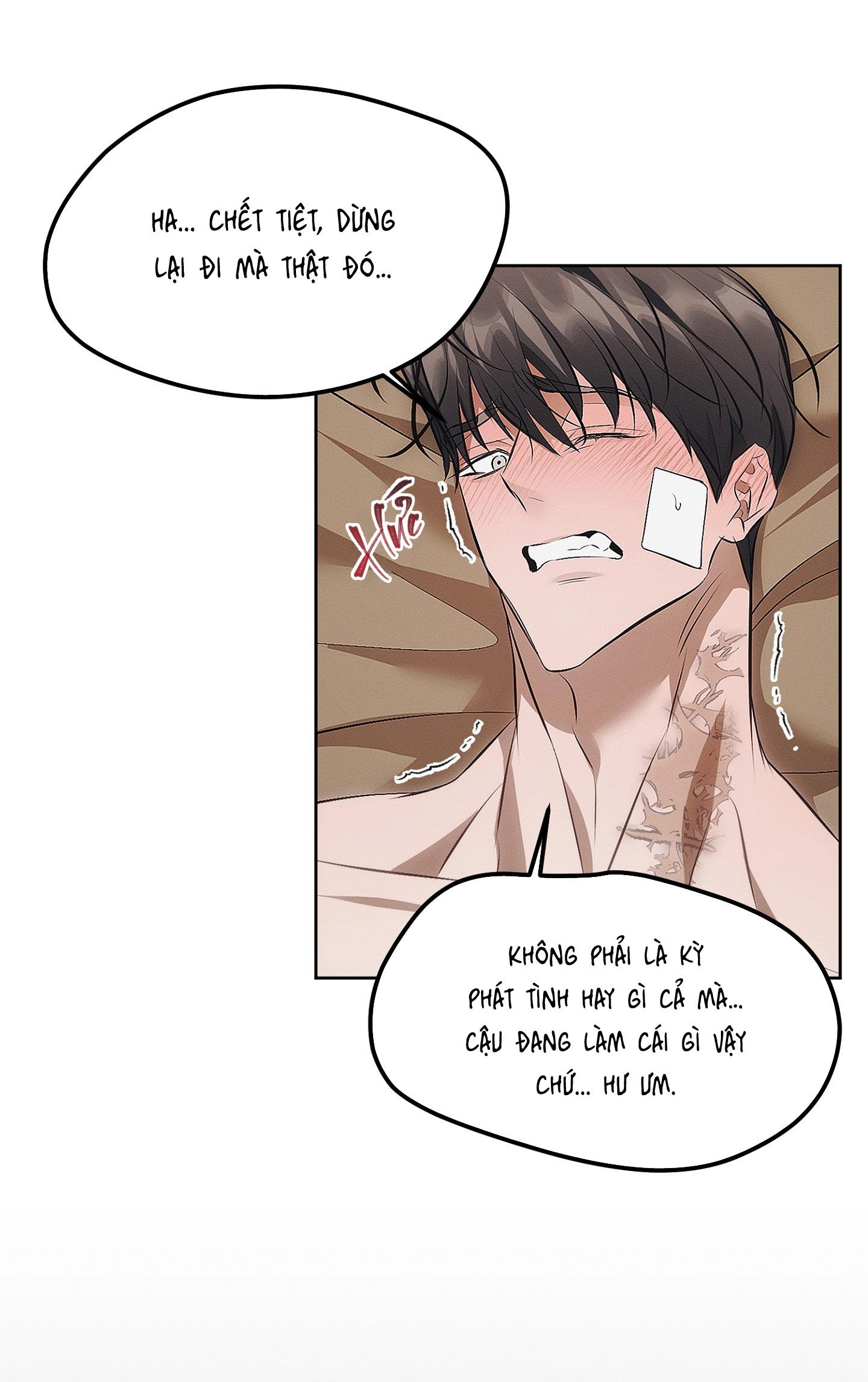 BẪY CHUỘT Chapter 4 19+ - Trang 2