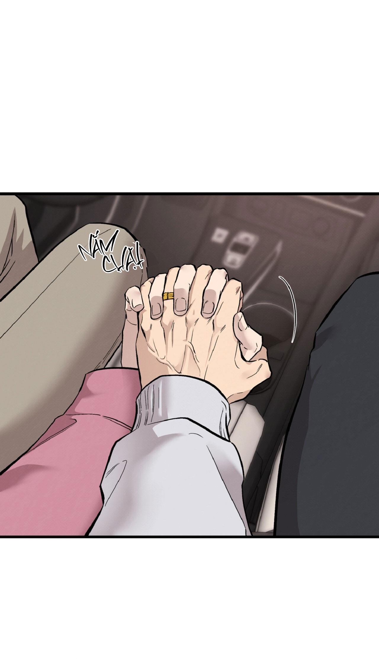 HONEY BEAR Chapter 76 - Trang 2