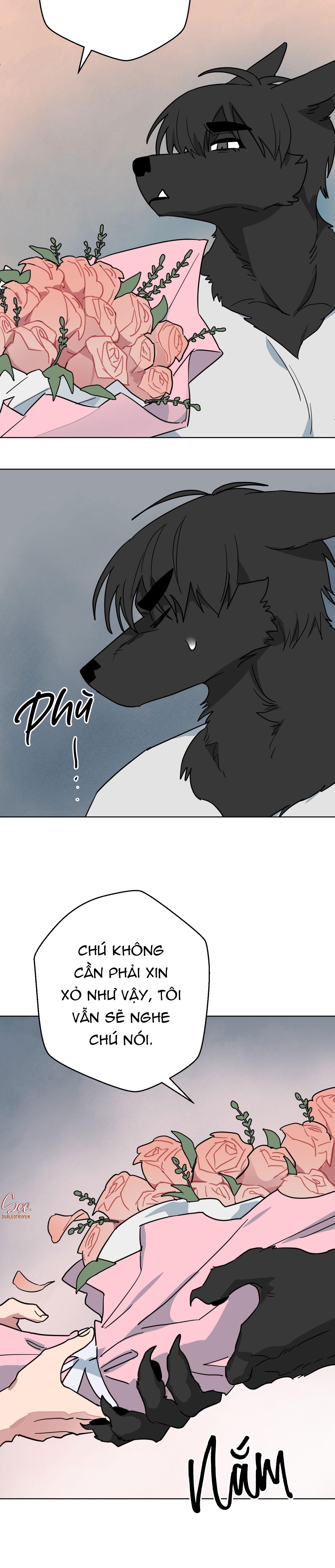 CHÚ ĐÃ BIẾT HẾT RỒI SAO ? Chapter 50 - Next 