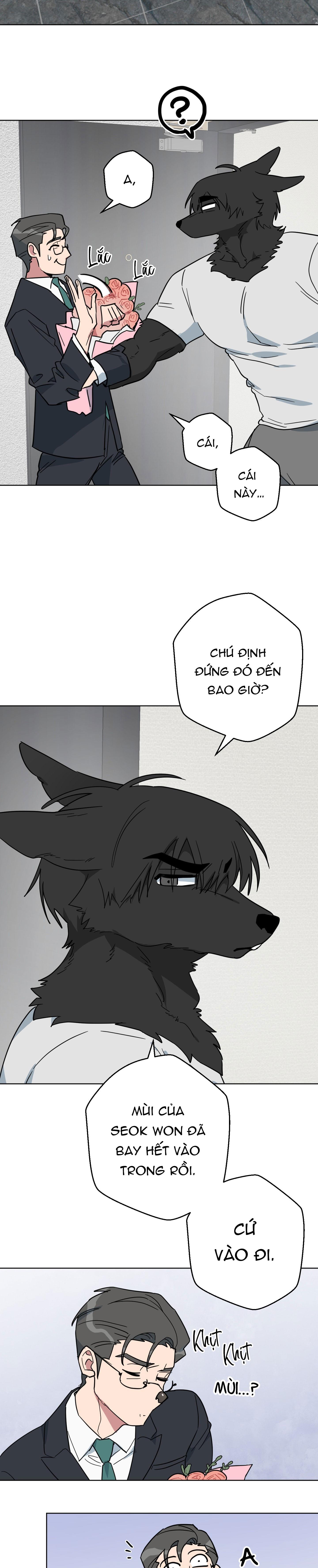 CHÚ ĐÃ BIẾT HẾT RỒI SAO ? Chapter 50 - Next 