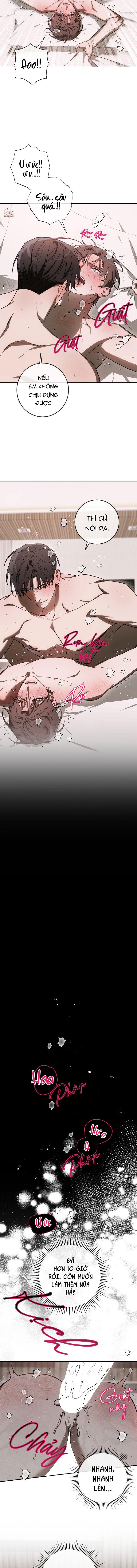 BẢO VẬT Chapter 40 - Trang 2