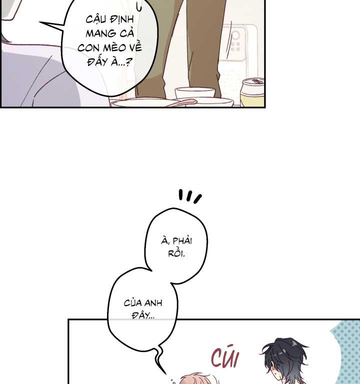 NGƯỜI HÀNG XÓM QUYẾN RŨ CỦA TÔI Chapter 3 - Trang 2