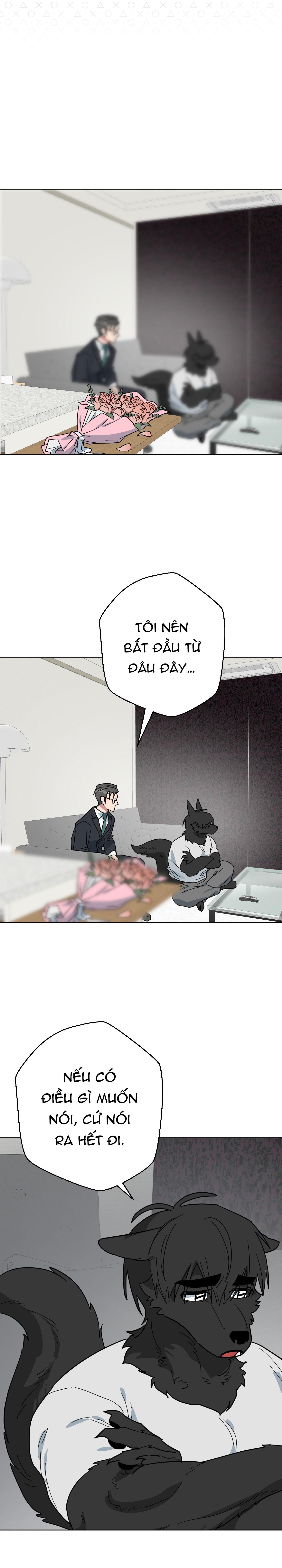 CHÚ ĐÃ BIẾT HẾT RỒI SAO ? Chapter 50 - Next 