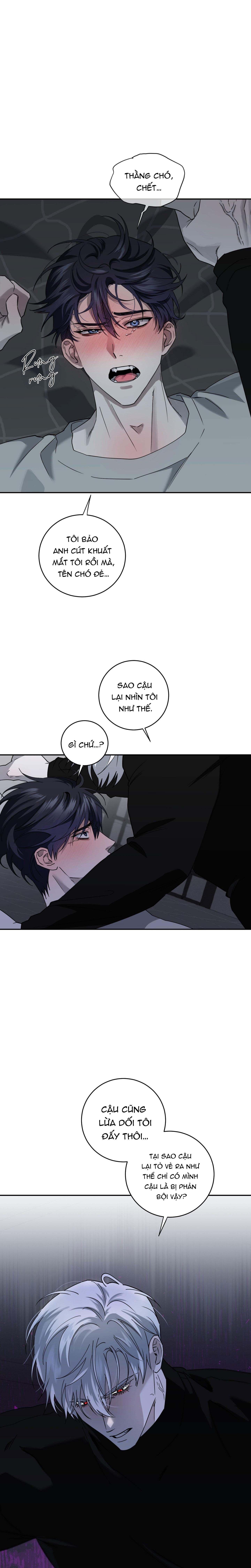 MẢNH VỠ CỦA ÁNH TRĂNG Chapter 14 - Trang 2