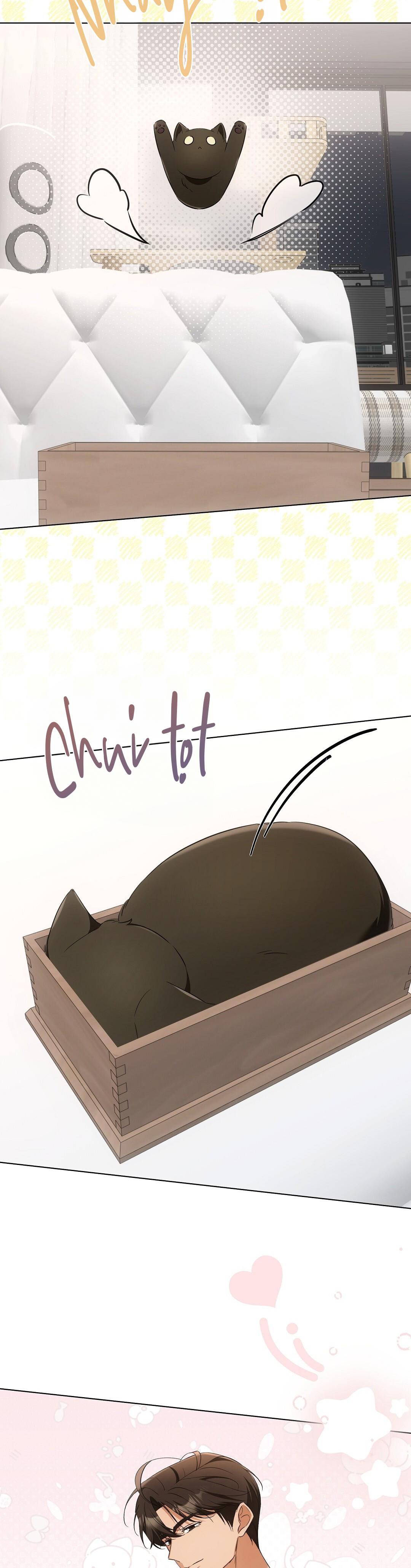 LIỆU PHÁP TRỊ LIỆU MÈO Chapter 11 - Trang 2