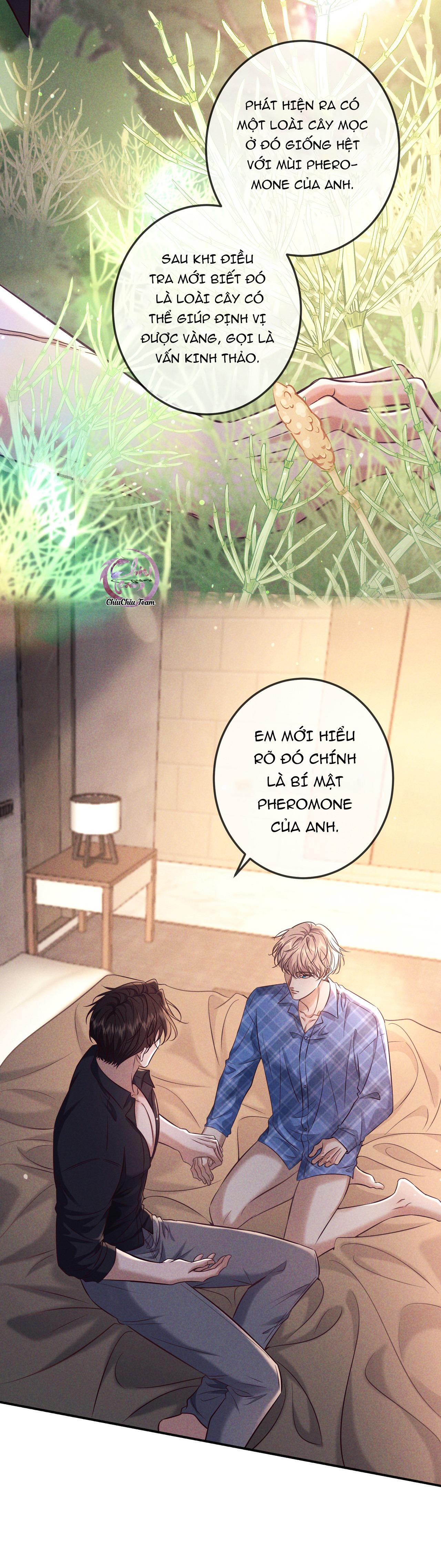 Cạn Tình Chapter 81 - Trang 2